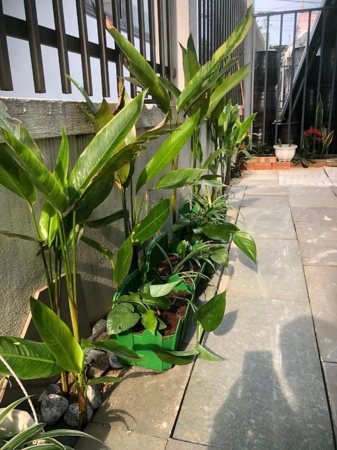 Homestay Phuong House 호이안 외부 사진