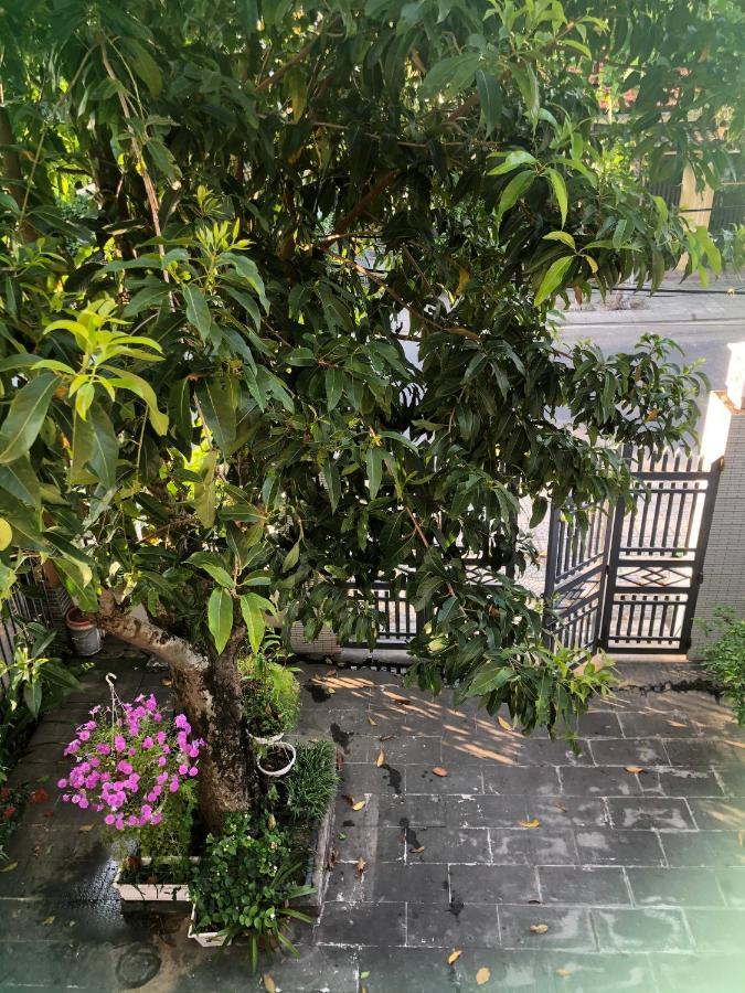 Homestay Phuong House 호이안 외부 사진