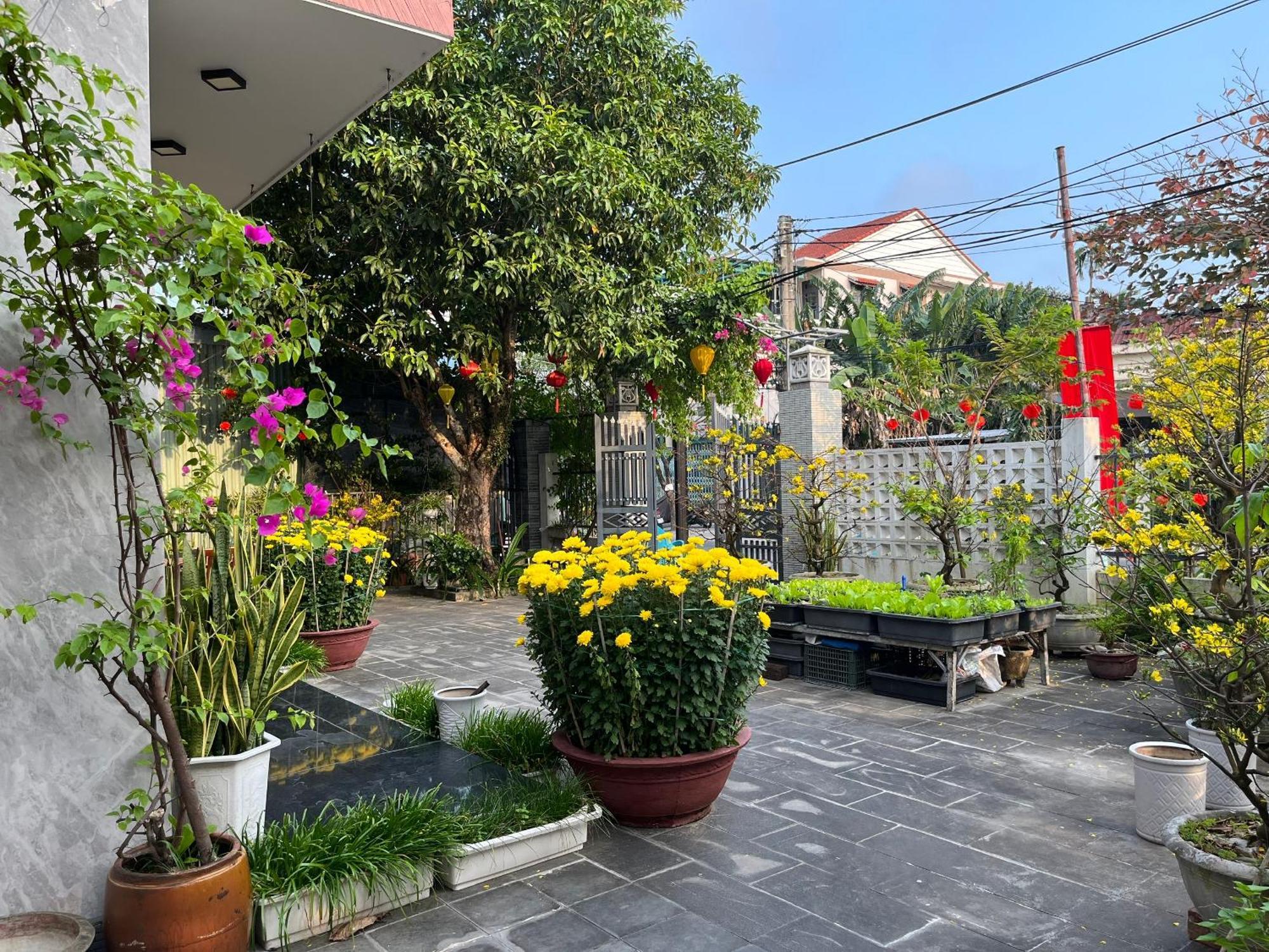 Homestay Phuong House 호이안 외부 사진